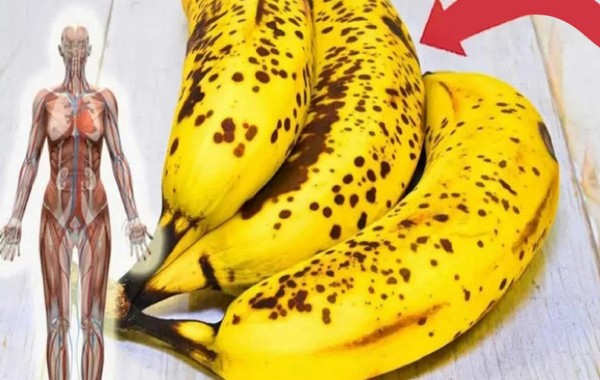 Que Se Passe-T-Il Si Vous Mangez Une Banane Tous Les Jours