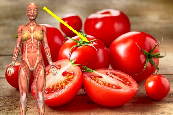 manger trop de tomates consequences,effet de la tomate sur le sang,avantages et inconvenients de la tomate,bienfaits tomates cuites,bienfaits de la tomate pour la prostate,manger des tomates le soir,manger une tomate par jour,bienfait tomate cerise