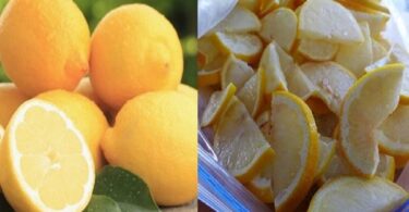 que faire avec des citrons congeles,citron congele cancer,duree de congelation du citron,congeler citron coupe,congeler citron vert,congeler rondelles citron,comment conserver citron vert,comment conserver un citron sans zeste