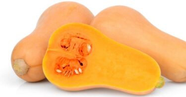 que faire avec la peau de butternut,peau du butternut soupe,peau butternut toxique,peut on manger la peau de la courge musquee,que faire avec la peau de courge,peut on manger la peau de la courge spaghetti,comment se mange le butternut,eplucher butternut